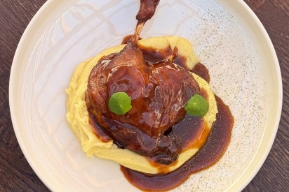 Teriyaki duck leg with mashed potatoes and duck zhu